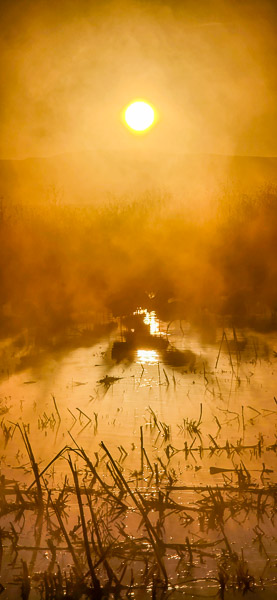 Bernardo Wildlife Area, New Mexico